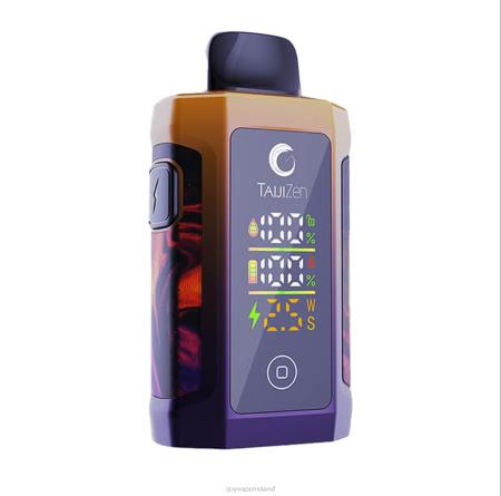 iJOY vape review - iJOY TaijiZen Judo 24000 Disposable Vape 062L53 Berry Bubble Gum